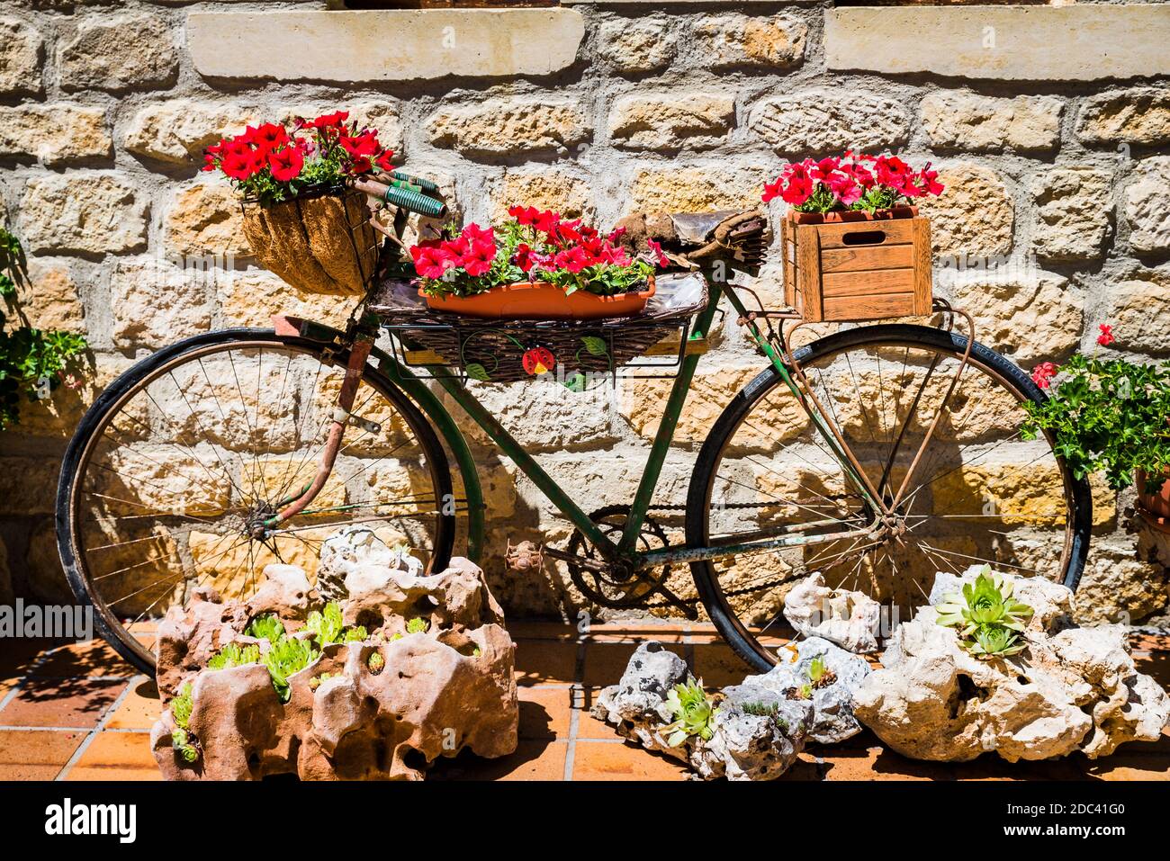 Vecchia bicicletta d'epoca con piante e fiori come decorazione terrazza. Foto Stock