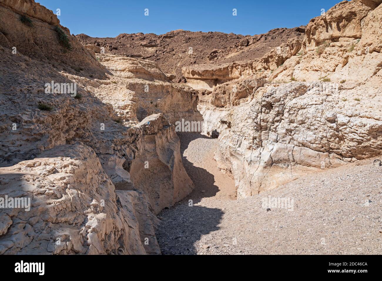 la stretta e colorata sezione a ferro di cavallo del ruscello nahal nekarot canyon nel cratere di makhtesh ramon in israele Foto Stock