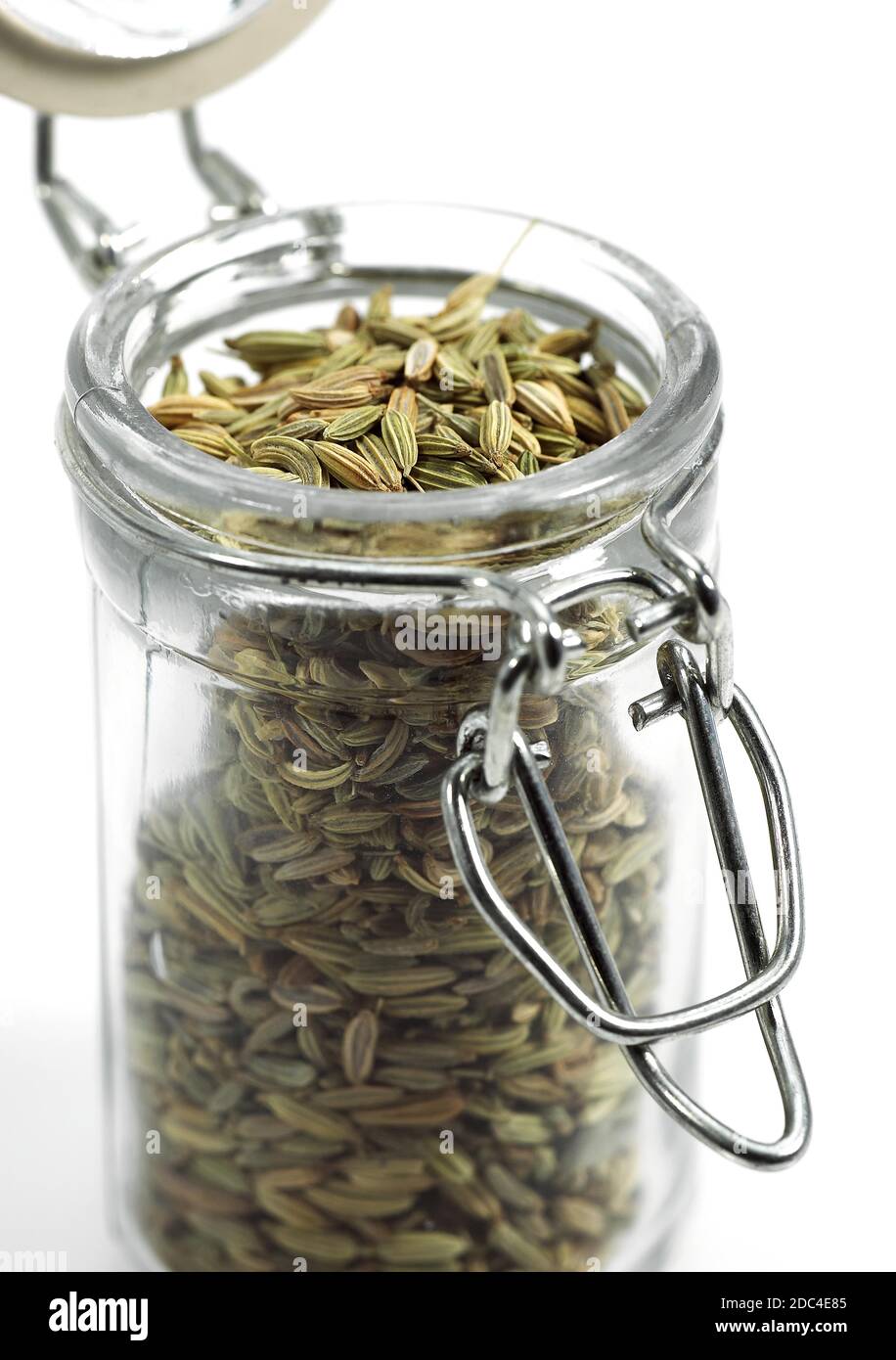 Semi di finocchio Foeniculum vulgare 066190 Gerard LACZ Foto Stock