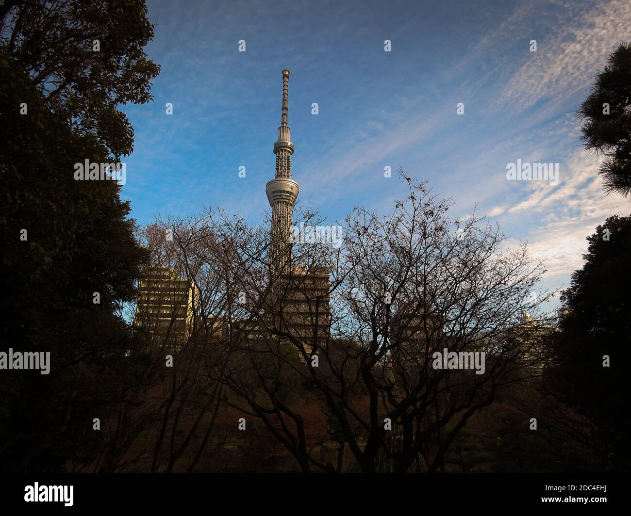 Godetevi questa fantastica vista della torre preferita di tokyo: Skytree in Giappone. Foto Stock