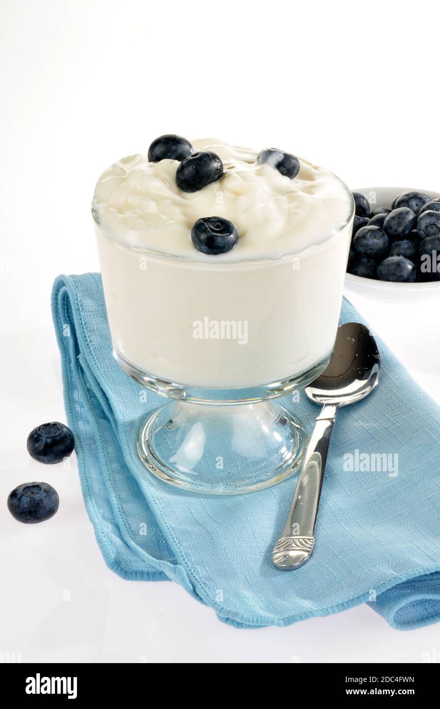 Un piatto di vaniglia o yogurt bianco con mirtilli Foto Stock