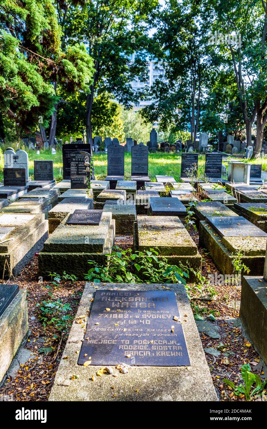 Cimitero ebraico (Cmentarz Zydowski) a Varsavia, Polonia Foto Stock
