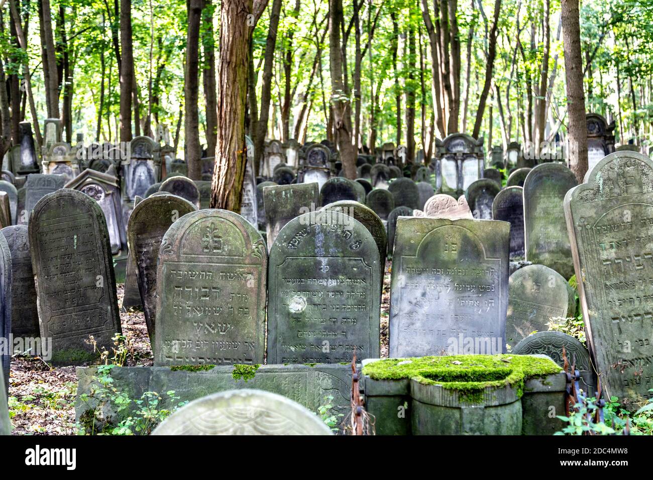 Cimitero ebraico (Cmentarz Zydowski) a Varsavia, Polonia Foto Stock