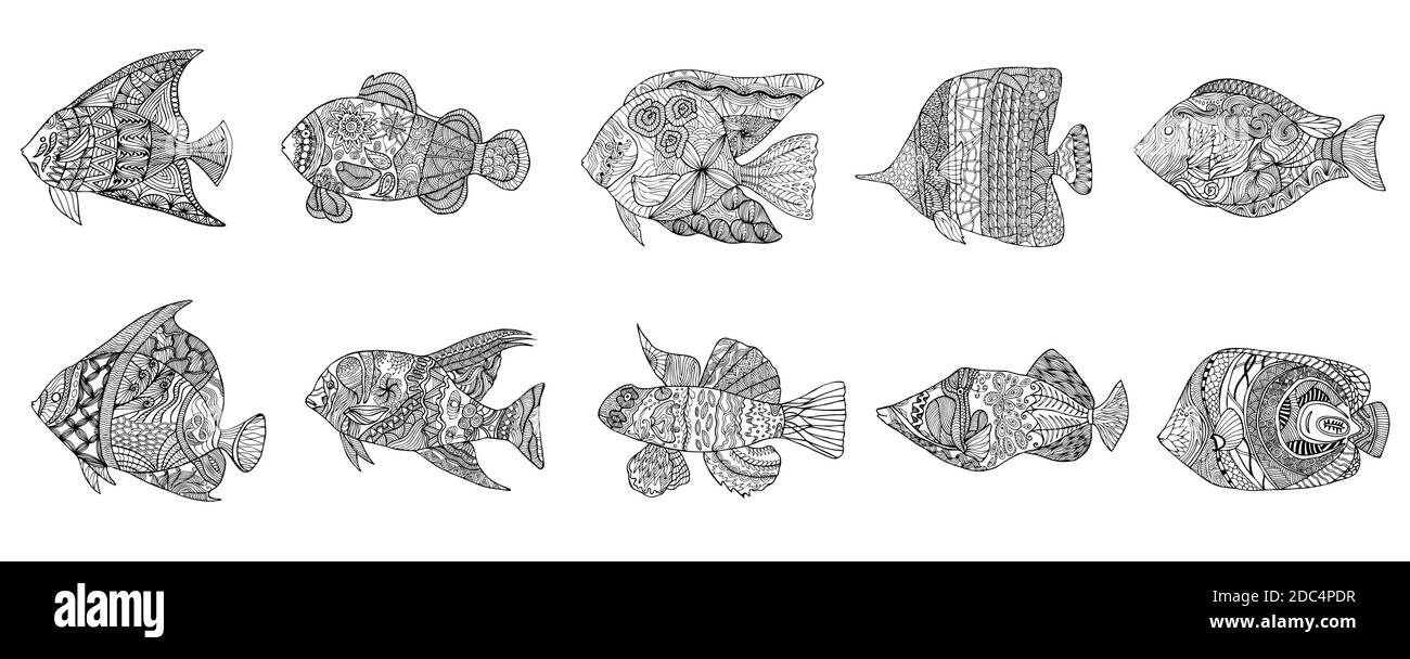 set di pesce stilizzato a mano con elementi doodle, zentangle, floreali, vintage con cornice a motivo ondulato. Pagina da colorare per libro da colorare per adulti. ISOL Illustrazione Vettoriale