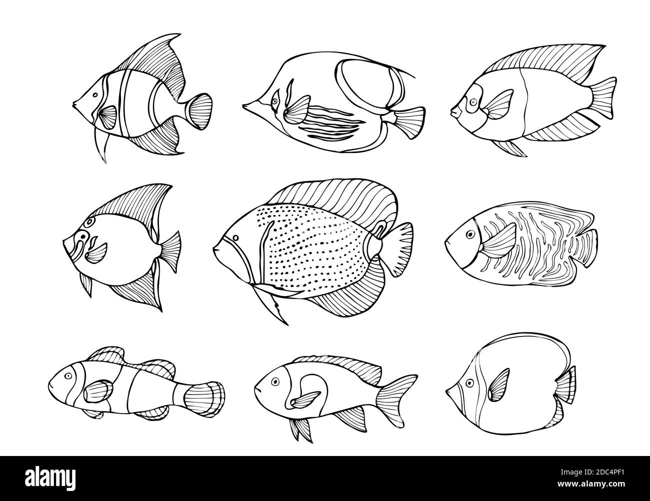 Set di pesci disegnati a mano isolato su bianco. Illustrazione vettoriale dello schizzo. Illustrazione Vettoriale