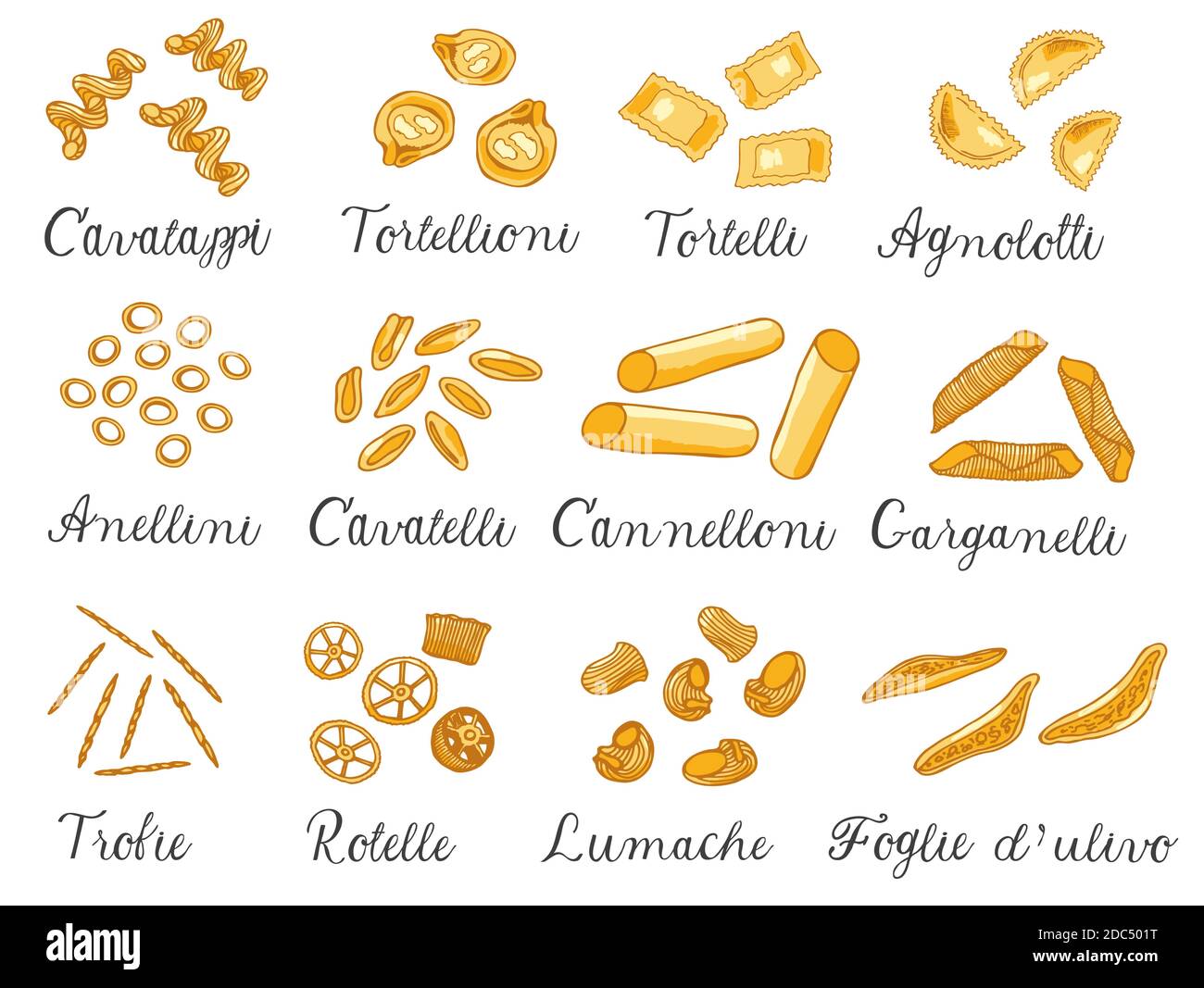 Grande set di diversi tipi di pasta italiana disegnata a mano con nomi  diversi. Illustrazione vettoriale. Isolato su bianco, colorato Immagine e  Vettoriale - Alamy