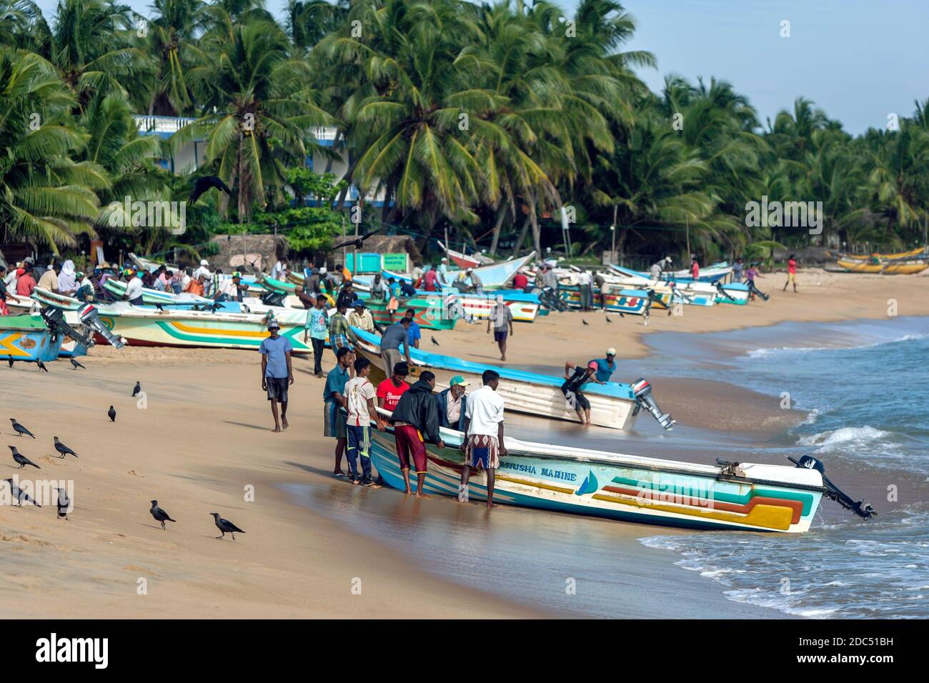 I pescatori tirano la loro barca dall'Oceano Indiano sulla spiaggia di Arugam Bay nello Sri Lanka. Stanno ritornando da una notte di pesca. Foto Stock