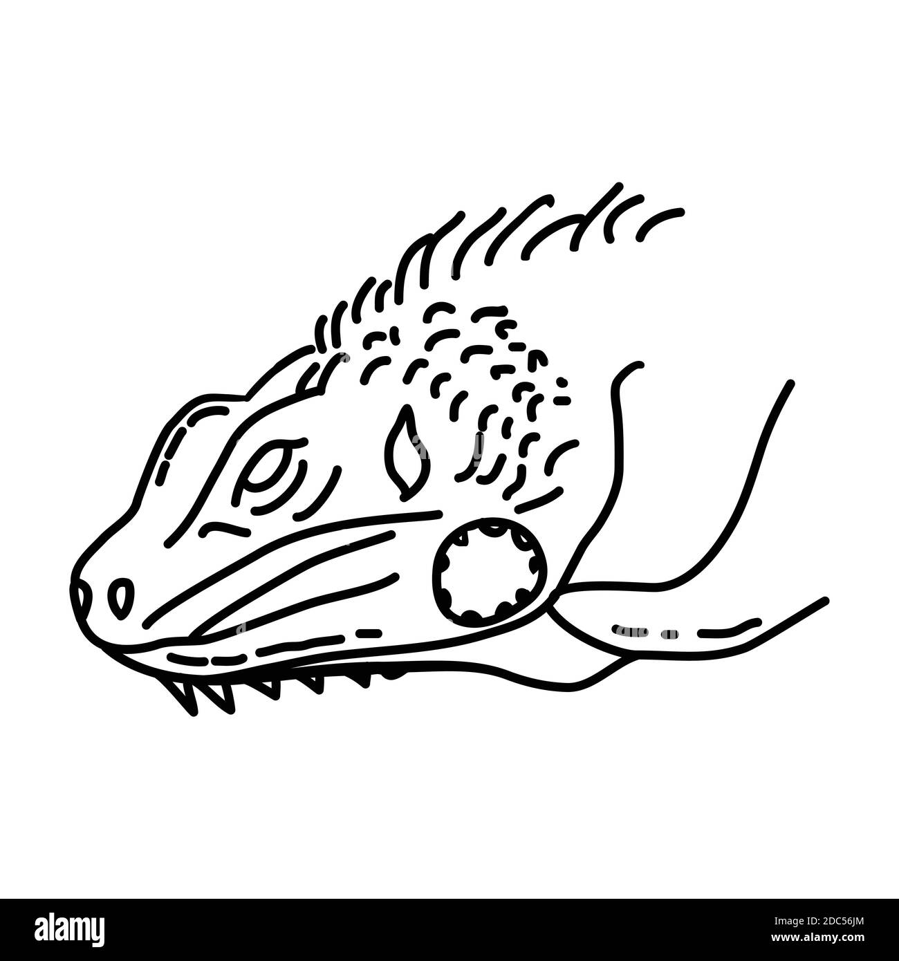 Icona Iguana. Vettore set di icone disegnate a mano da un animale tropicale. Illustrazione Vettoriale