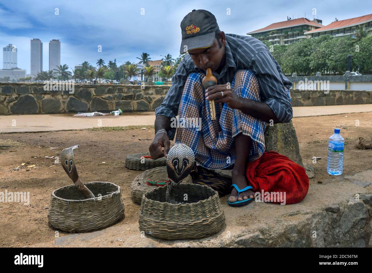 Un incantatore serpente tiene gli occhi sulla sua coppia di cobra mentre suona un flauto accanto a Galle Face Green a Colombo in Sri Lanka. Foto Stock
