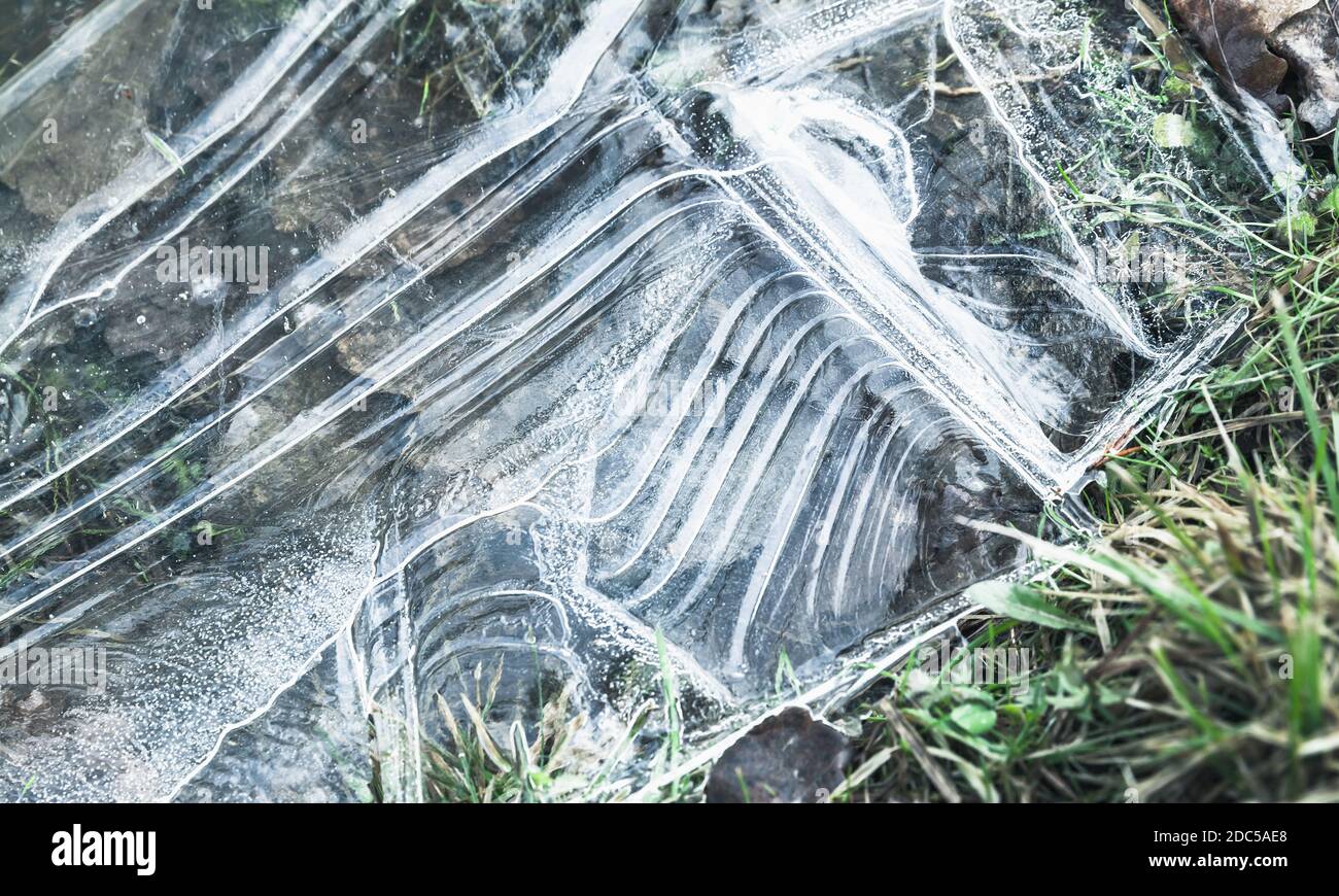 La struttura sottile del ghiaccio copre l'erba costiera, la trama astratta della foto di sfondo naturale Foto Stock
