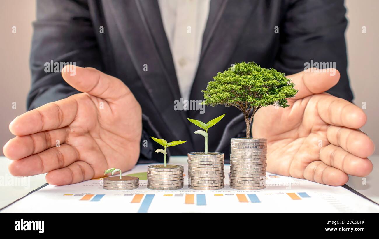 L'albero cresce su un mucchio di monete, comprese le mani di un investitore curato, la gestione delle idee di crescita degli investimenti finanziari e aziendali. Foto Stock