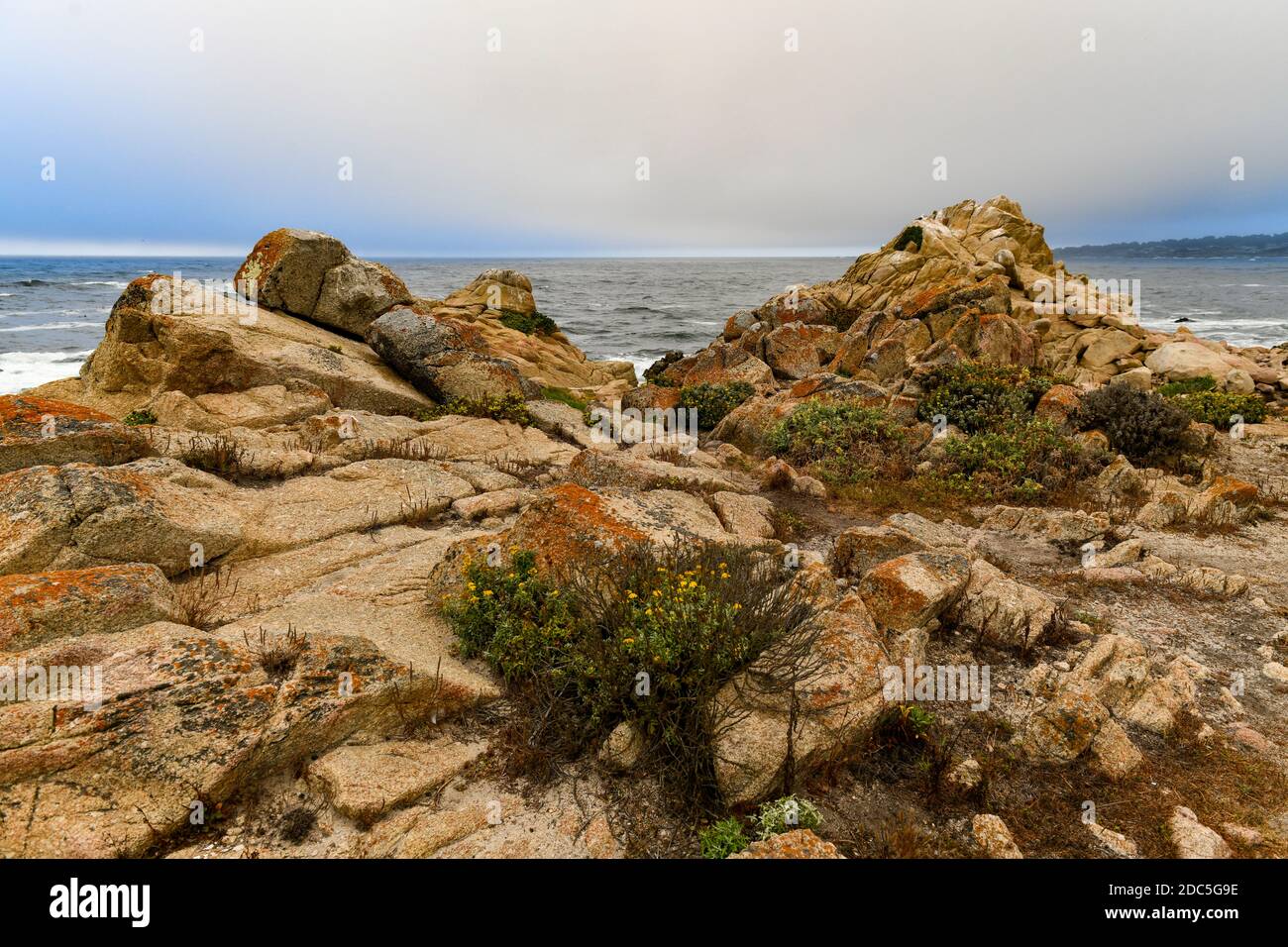 Paesaggio di Spanish Bay lungo 17 Mile Drive nella costa di Pebble Beach, California Foto Stock