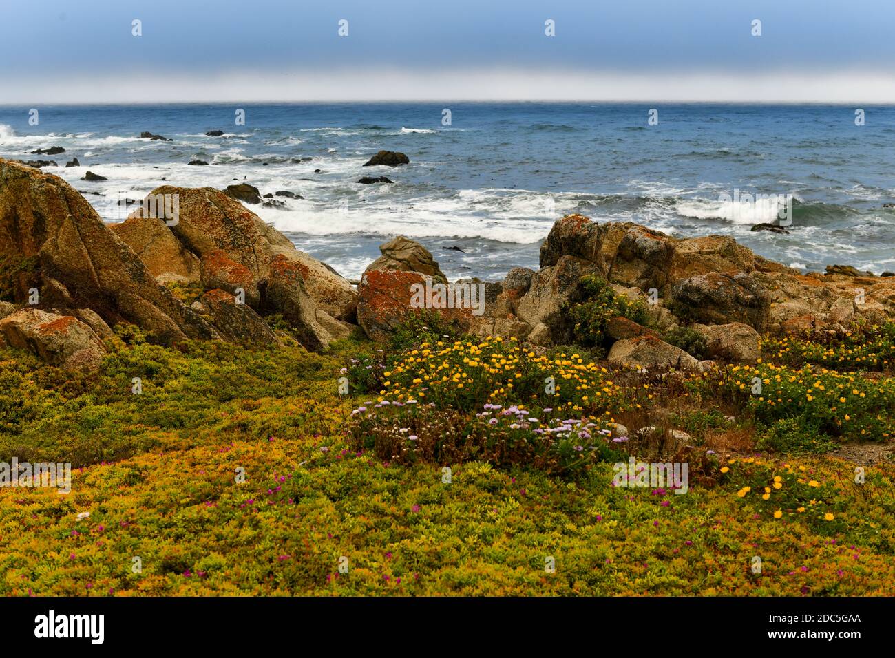 Paesaggio di Spanish Bay lungo 17 Mile Drive nella costa di Pebble Beach, California Foto Stock