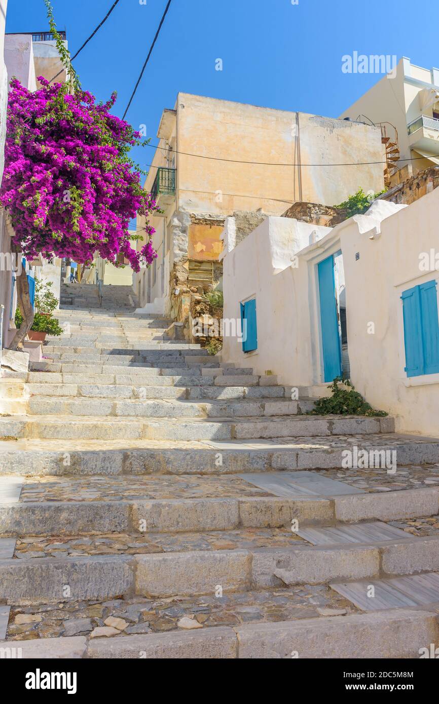 Vista sulla strada di case tradizionali e di un colorato bougainvillea albero in Ermoupolis, isola di Syros, Grecia Foto Stock