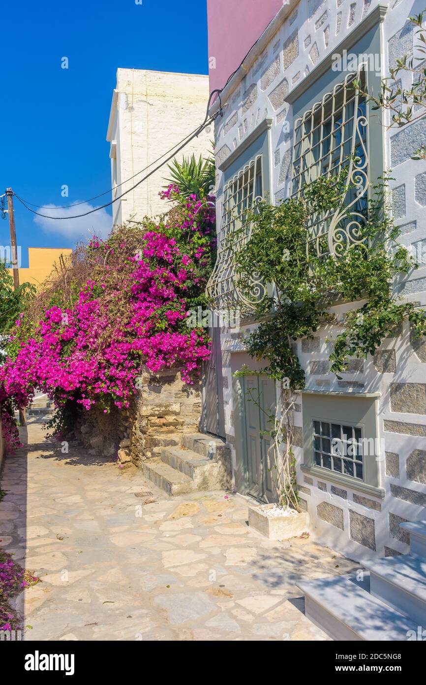Vista sulla strada di case tradizionali e di un colorato bougainvillea albero in Ermoupolis, isola di Syros, Grecia Foto Stock