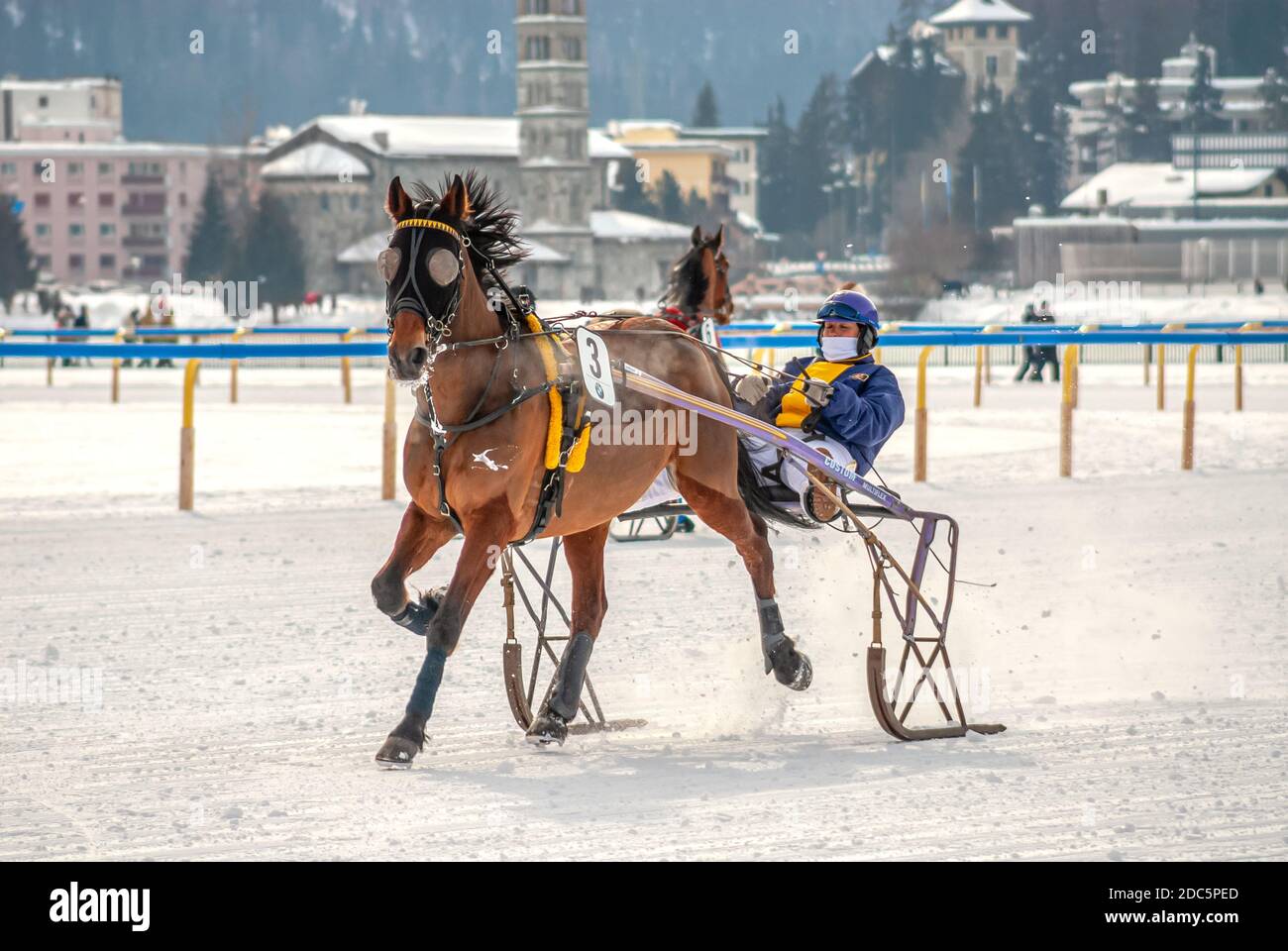 Cavallo singolo durante una gara di trotting durante il White Turf a St.Moritz, Svizzera Foto Stock