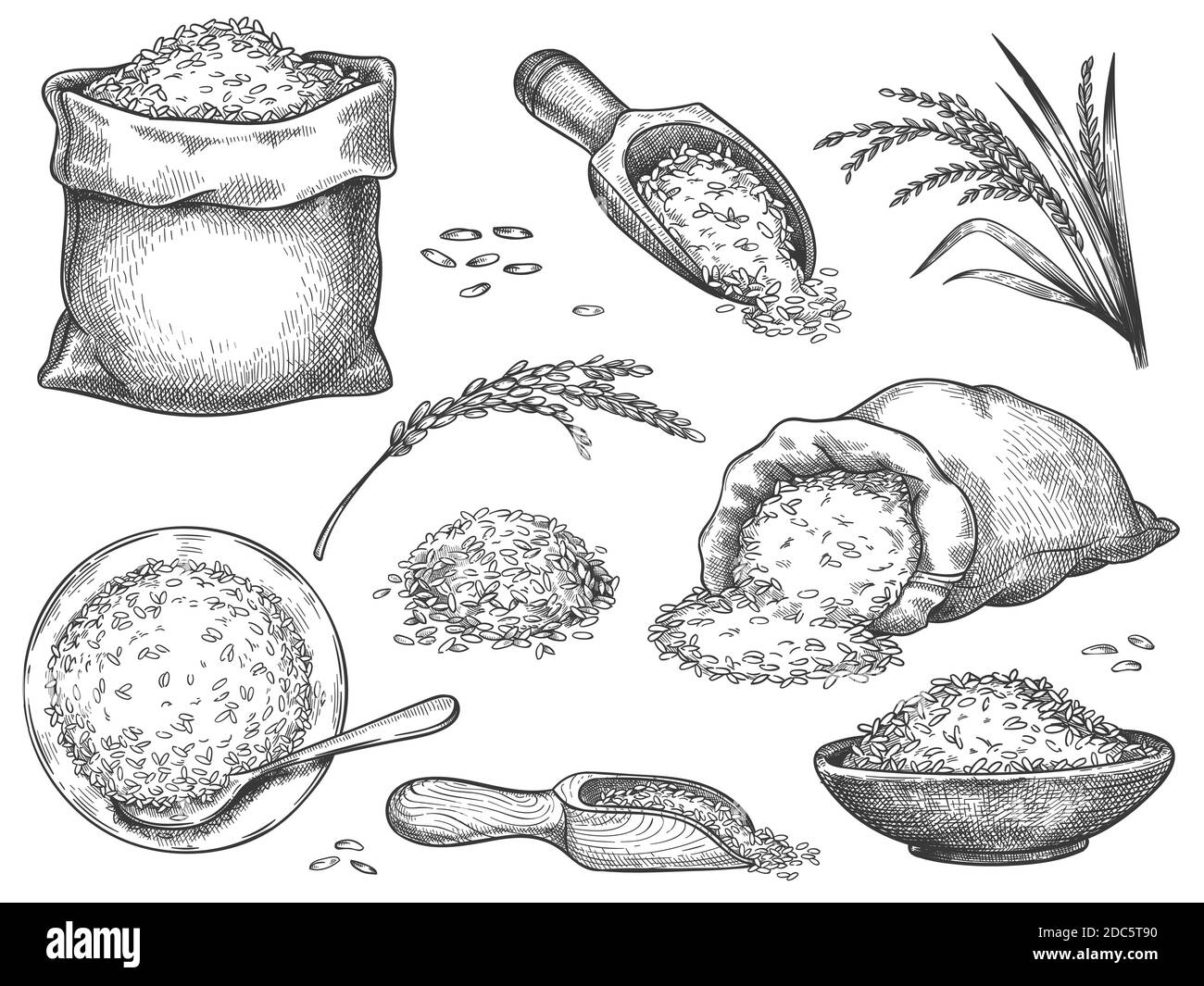 Farina di riso tirata a mano. Incisione retrospettiva di spikelets di cereali di grano, segala, orzo, basmati o riso gelsomino. Grani in sacco e sessola insieme vettoriale Illustrazione Vettoriale