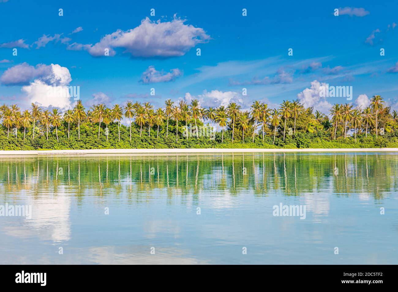 Riflessi paesaggistici di palme da cocco in perfetta simmetria, soleggiata spiaggia tropicale dell'isola. Carta da parati da meditazione, equilibrio nella natura, bellezza nella natura. Foto Stock