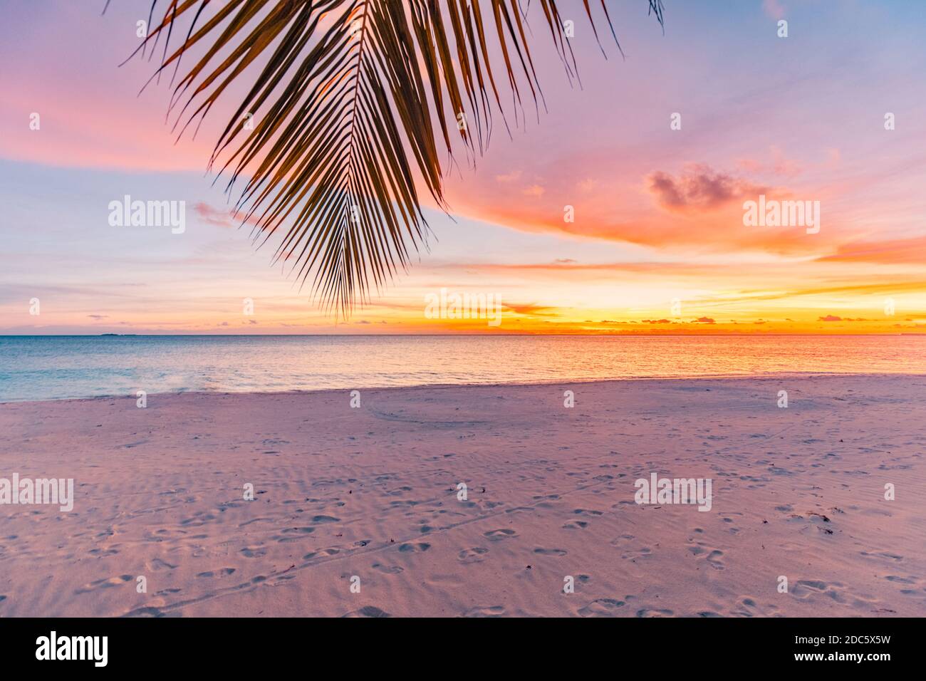 Spiaggia tropicale al tramonto, paesaggio rilassante. Le foglie di palma sopra il mare colorato e le nuvole del cielo. Tranquillo paesaggio naturale, vista sulla spiaggia. Calma, ispira Foto Stock