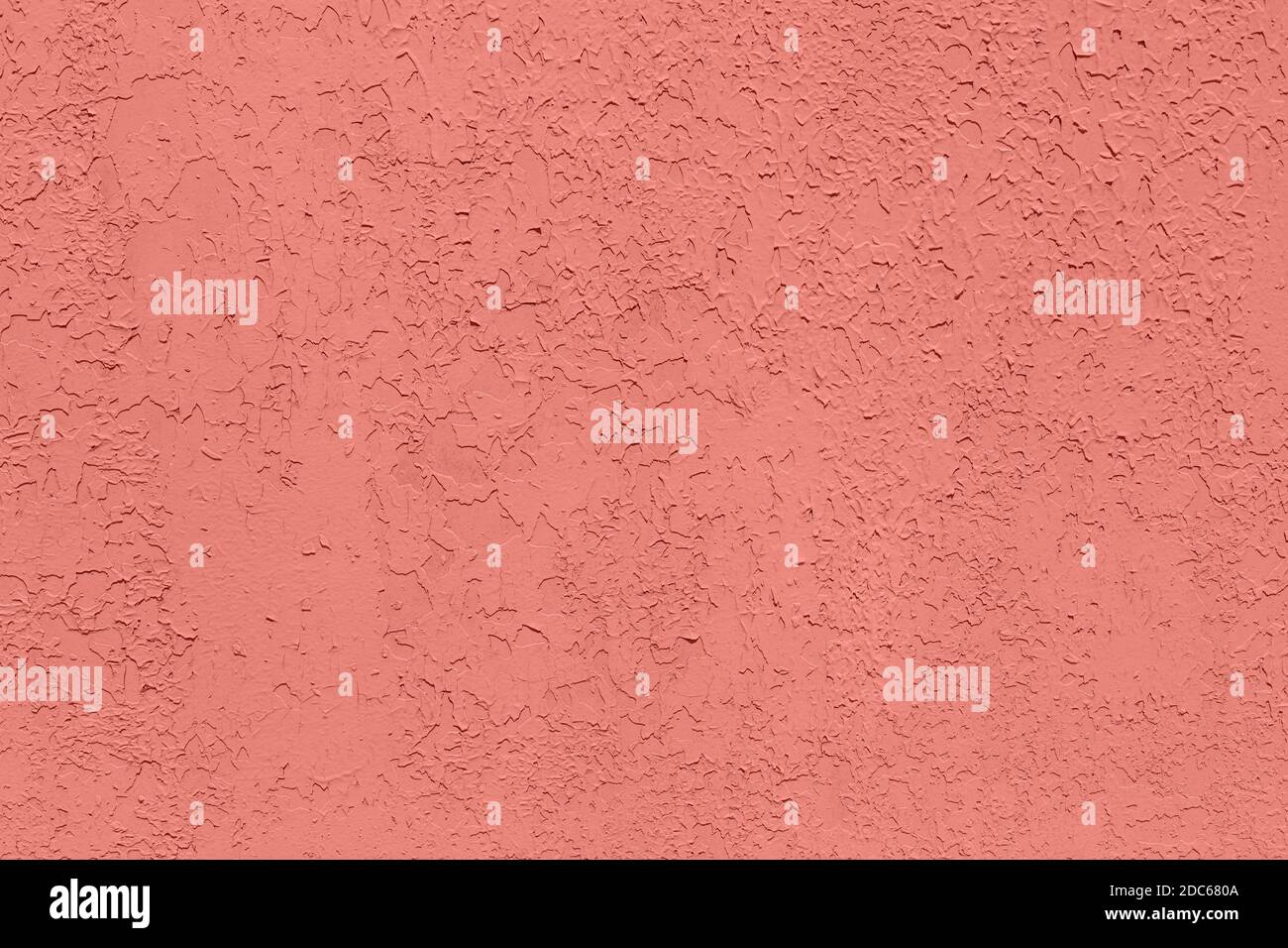 Corallo rosa a basso contrasto con fondo testurizzato in cemento Foto Stock