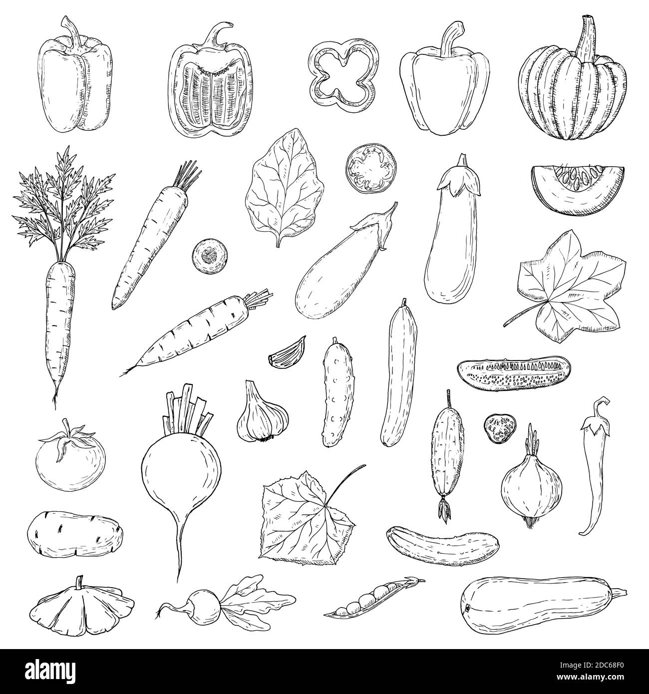 Set di verdure. Illustrazioni vettoriali di vignette. Isolato su bianco. Stile disegnato a mano. Cibo vegetariano. Illustrazione Vettoriale