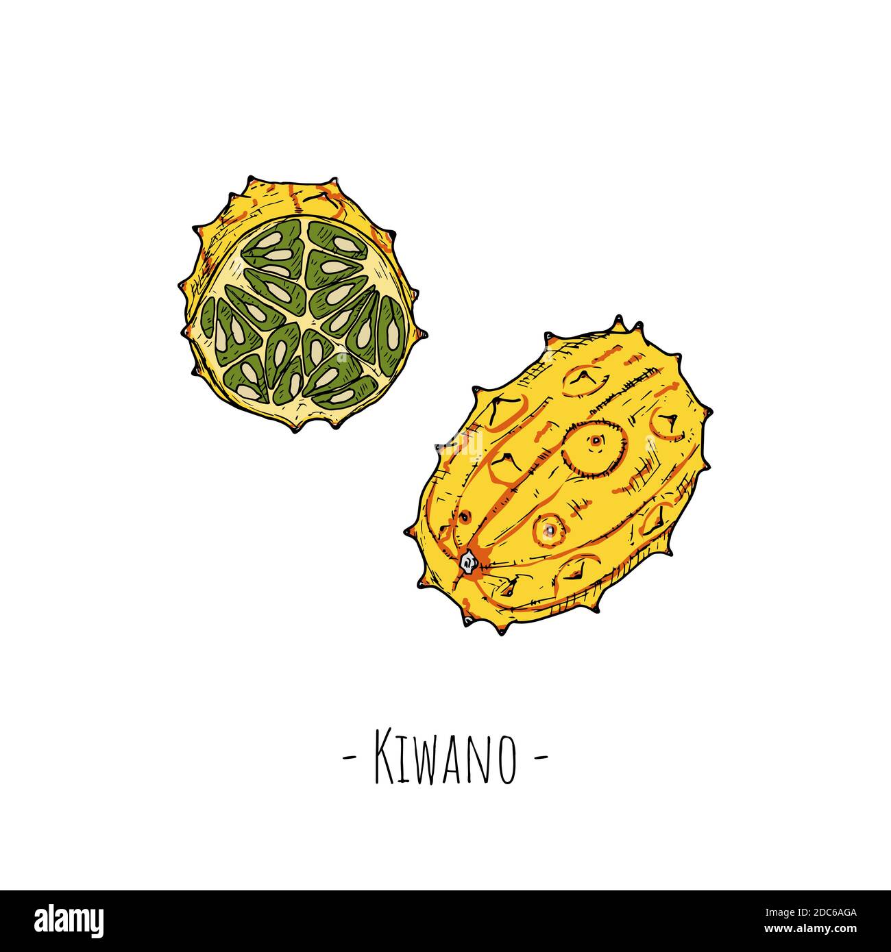 Fetta intera di kiwano e kiwano. Illustrazioni cartoni animati vettoriali. Oggetti isolati su sfondo bianco. Stile disegnato a mano. Illustrazione Vettoriale