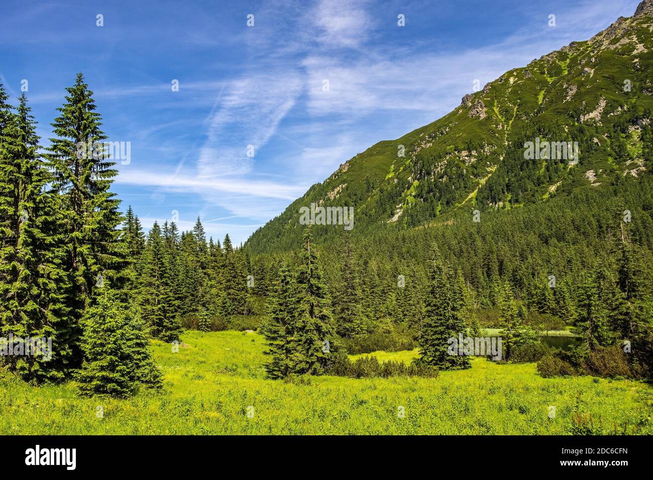 Vista panoramica del crinale dei sette Granati - Siedem Granatow - all'interno della catena Zabia Gran sulla valle di Rybi Potok nei Monti Tatra, vicino a Zakopane in Foto Stock