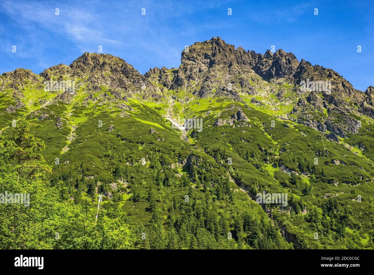 Vista panoramica del crinale dei sette Granati - Siedem Granatow - all'interno della catena Zabia Gran sulla valle di Rybi Potok nei Monti Tatra, vicino a Zakopane in Foto Stock