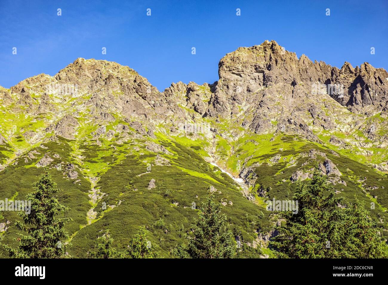 Vista panoramica del crinale dei sette Granati - Siedem Granatow - all'interno della catena Zabia Gran sulla valle di Rybi Potok nei Monti Tatra, vicino a Zakopane in Foto Stock