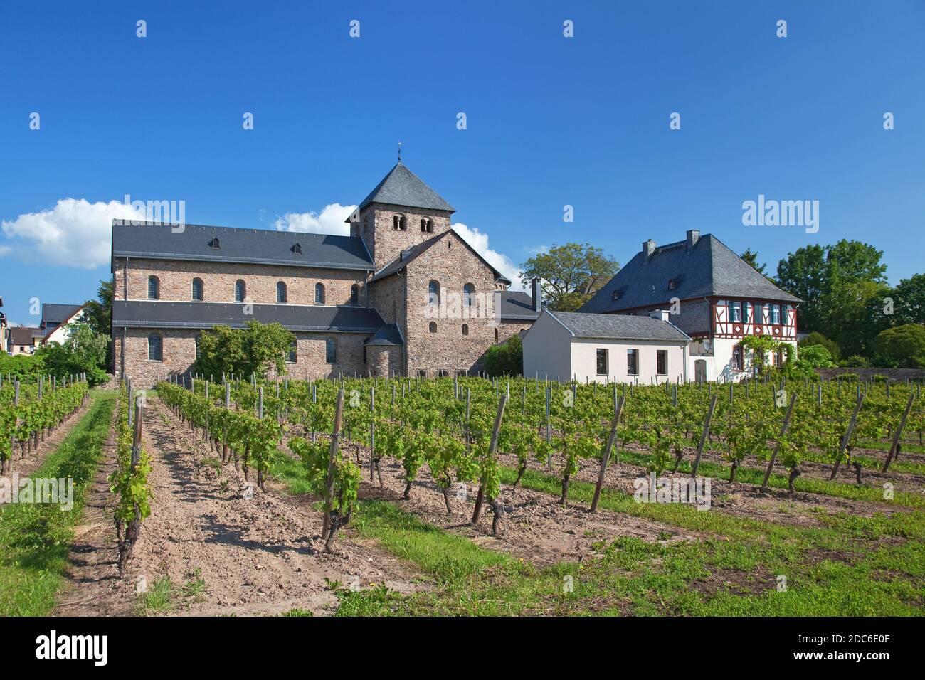 Geografia / viaggio, Germania, Assia, Oestrich-Winkel, Basilica di San Aegidius, Mittelheim, Oestrich-Winke, diritti-aggiuntivi-liquidazione-Info-non-disponibile Foto Stock