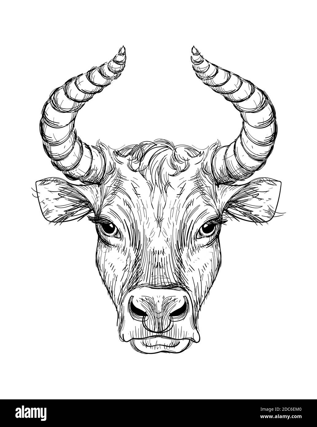 Felice anno nuovo 2021 della Ox, Ox-Taurus. Disegno lineare su sfondo nero, tarocchi, tatuaggio, oroscopo cinese, astrologia e segni zodiacali. Illustrazione vettoriale per poster, copertina, calendario, logo. Illustrazione Vettoriale
