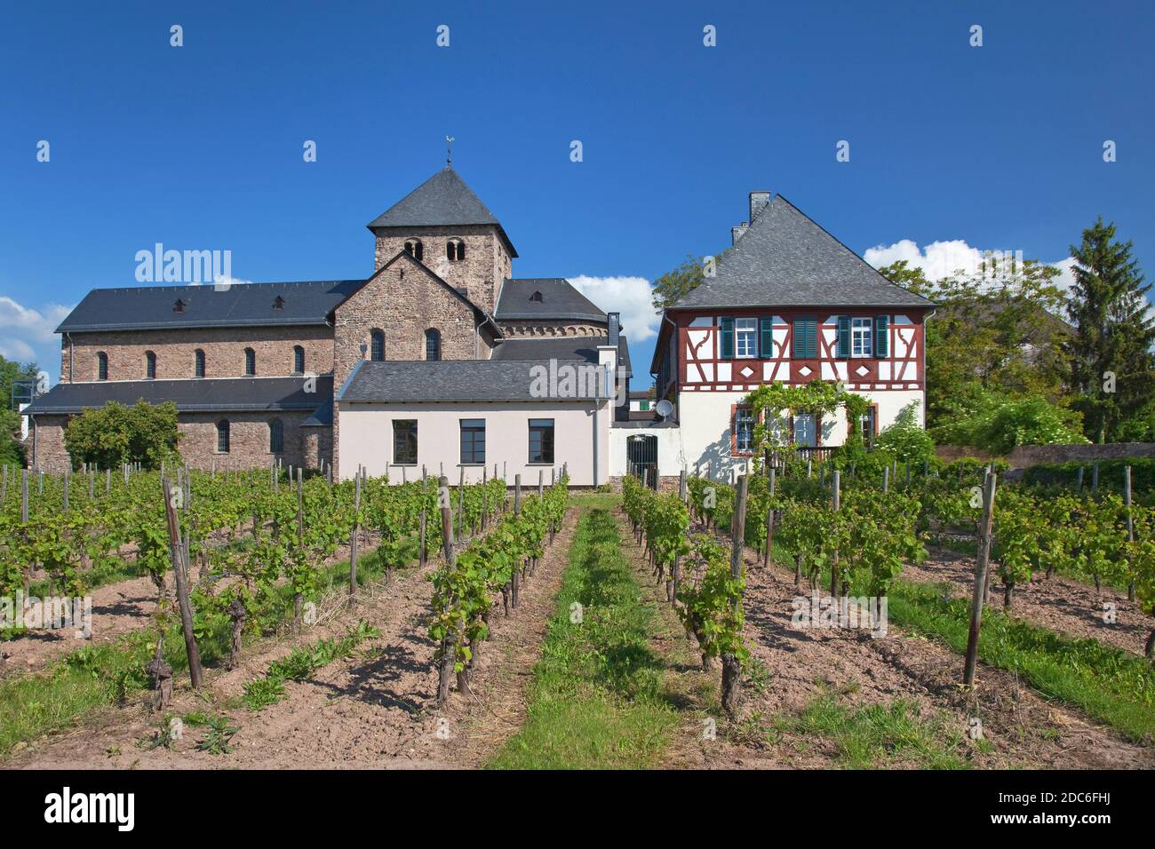 Geografia / viaggio, Germania, Assia, Oestrich-Winkel, Basilica di San Aegidius, Mittelheim, Oestrich-Winke, diritti-aggiuntivi-liquidazione-Info-non-disponibile Foto Stock