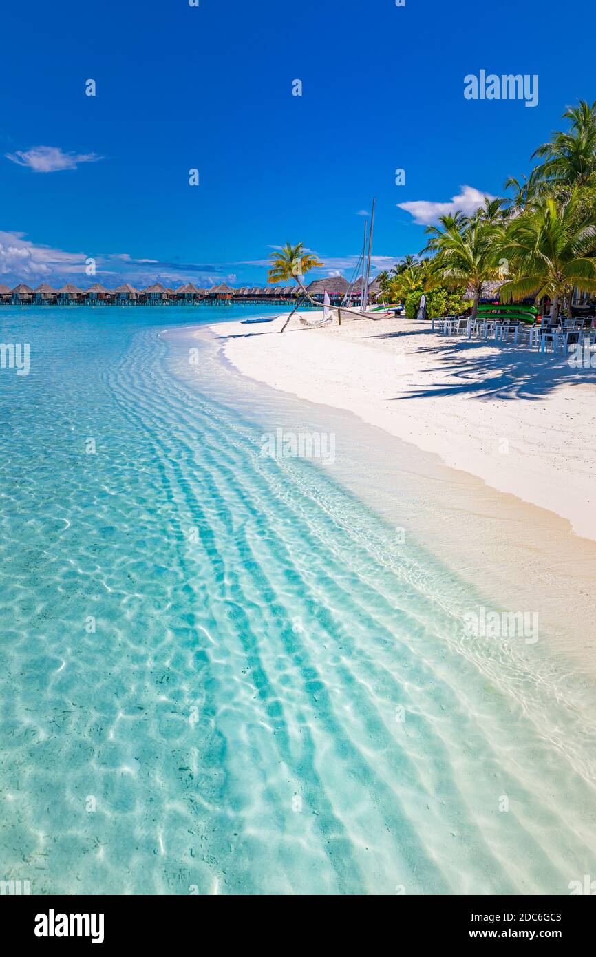 Spiaggia tropicale, Maldive. Tranquilla isola paradiso. Palme, sabbia bianca e mare blu, perfetto paesaggio estivo di vacanza o banner turistico di vacanza. Foto Stock