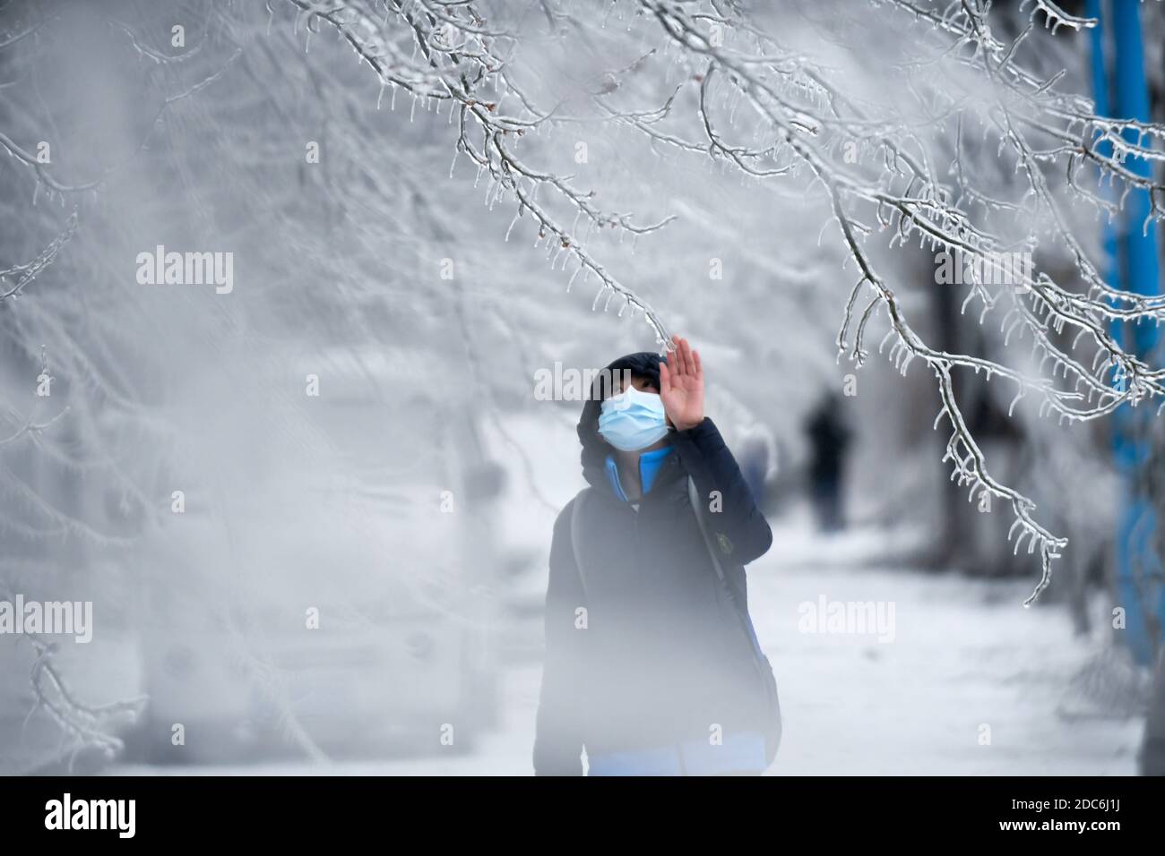 Changchun, la provincia cinese di Jilin. 19 Nov 2020. Un pedone guarda le ciclicole degli alberi a Changchun, nella provincia di Jilin, nel nord-est della Cina, 19 novembre 2020. Raramente si vedono pioggia intensa e neve più forte vento ha colpito Changchun il 18 novembre e 19 novembre. Credit: Yan Linyun/Xinhua/Alamy Live News Foto Stock