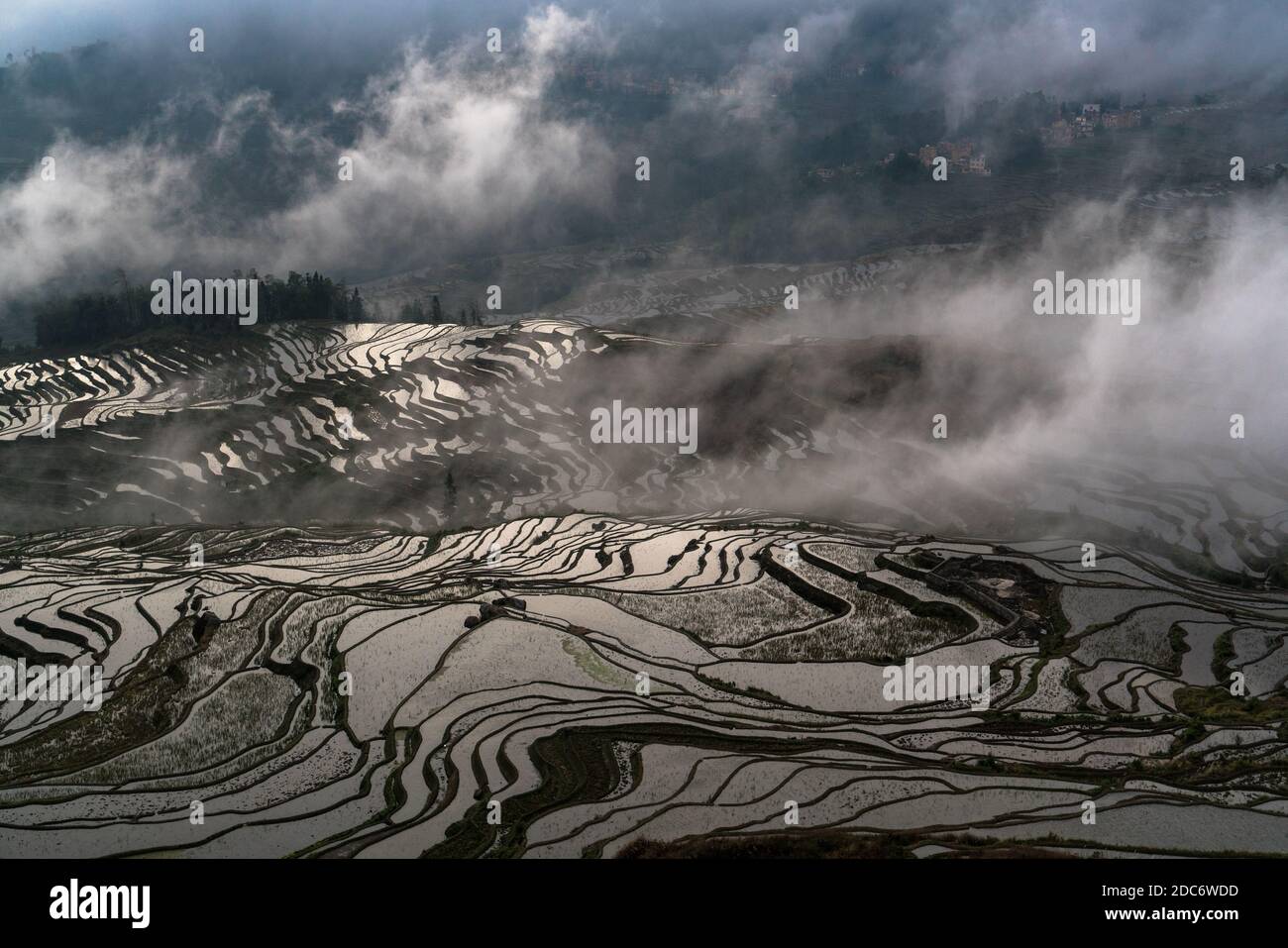 Terrazze di riso, Yunnan, Cina Foto Stock