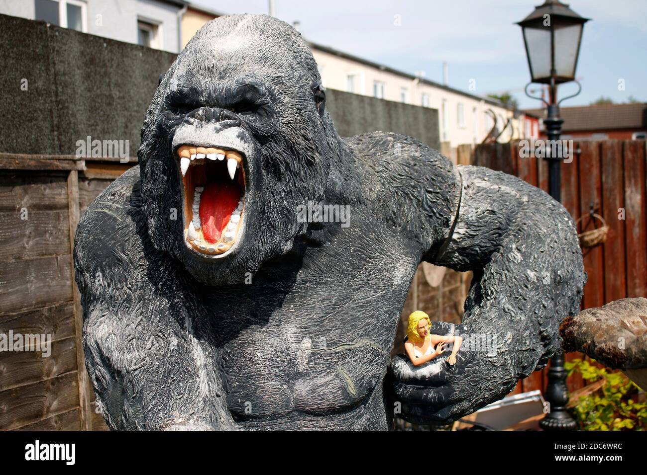 Impressionen: Re Kong-Figur im Vorgarten, Belfast, Nordirland/Irlanda del Nord. Foto Stock