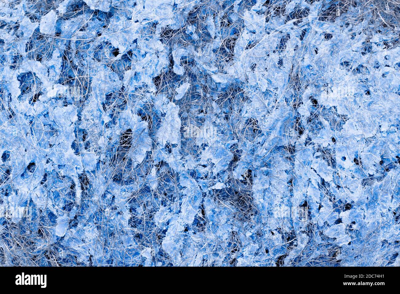 Tampone di pulizia in lana d'acciaio blu dettaglio macro astratto Foto Stock