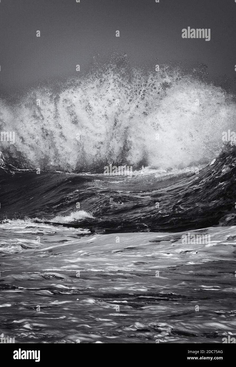 Onda oceano in bianco e nero Foto Stock