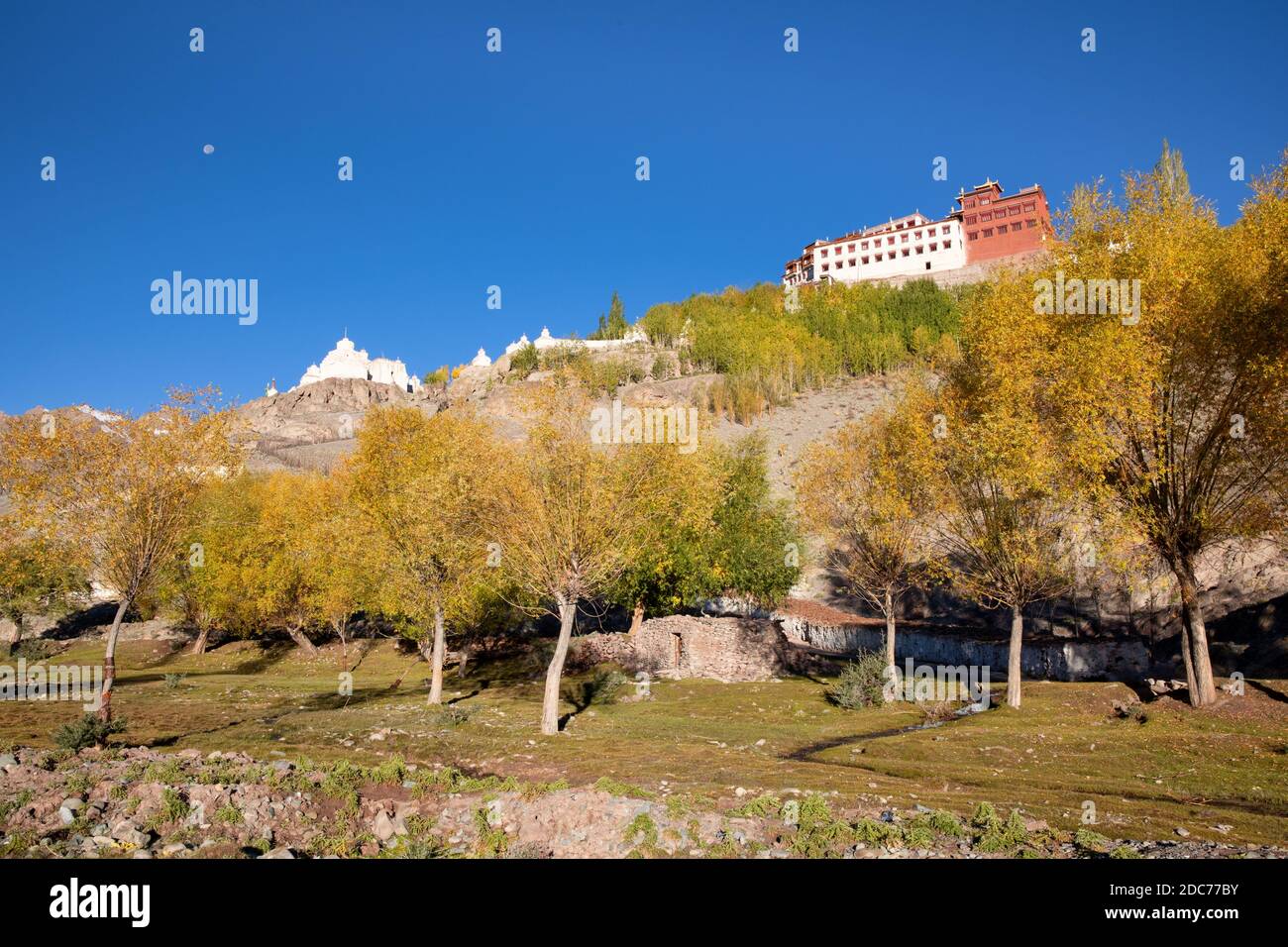Monastero di Matho, Ladakh, Kashmir India Foto Stock