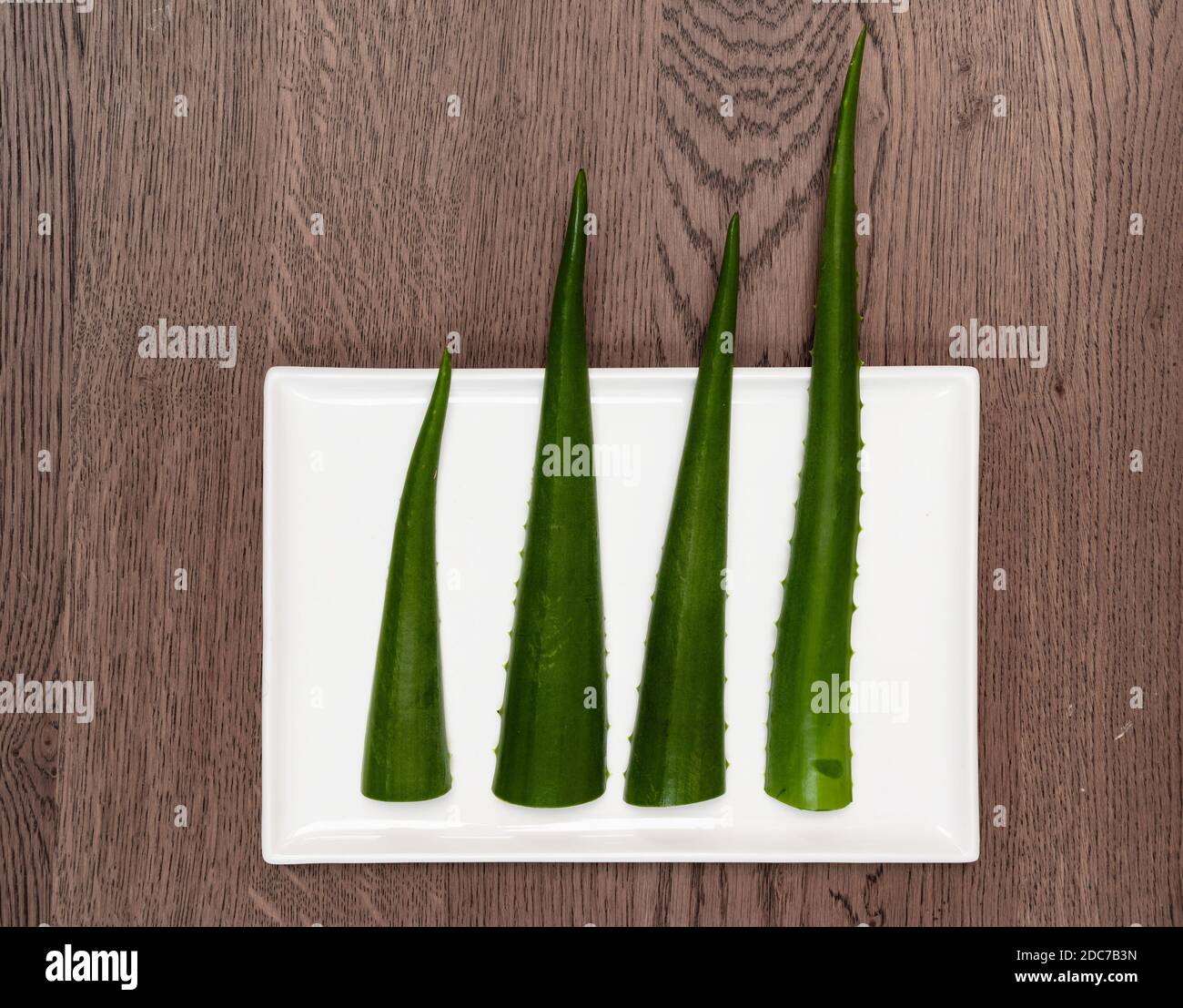 Quattro foglie allungate verdi pulite di una pianta di aloe vera giacciono su una piastra di ceramica bianca come in un grafico. Foto Stock