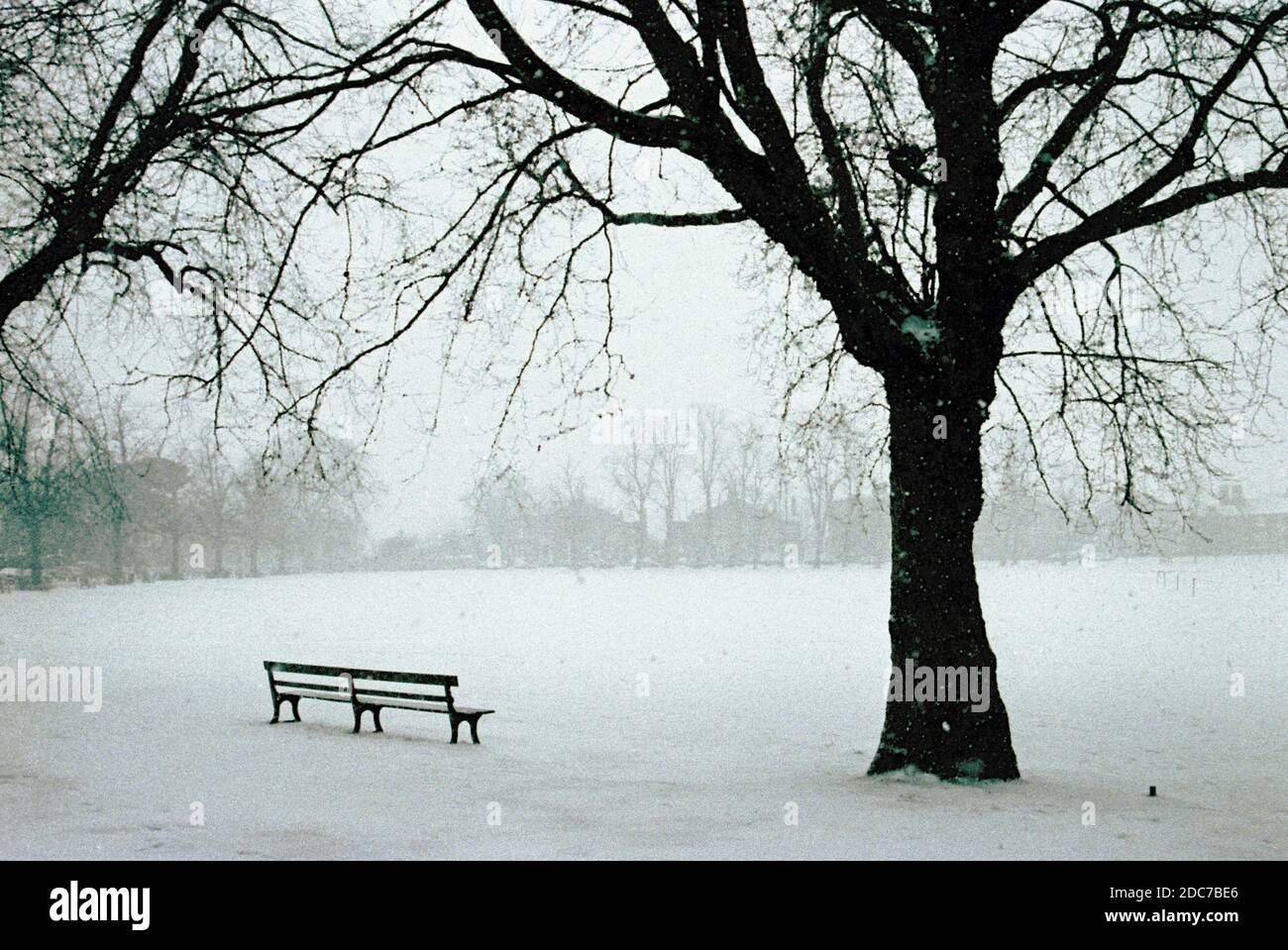 Immagine archivistica scansionata di una panchina, un albero e un parco innevato a Richmond vicino al Tamigi durante la neve all'inizio del 1991 Foto Stock