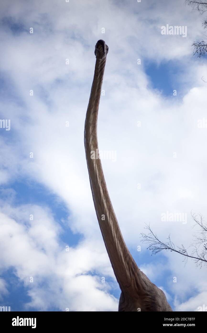 Testa di un dinosauro con un collo molto lungo Foto Stock