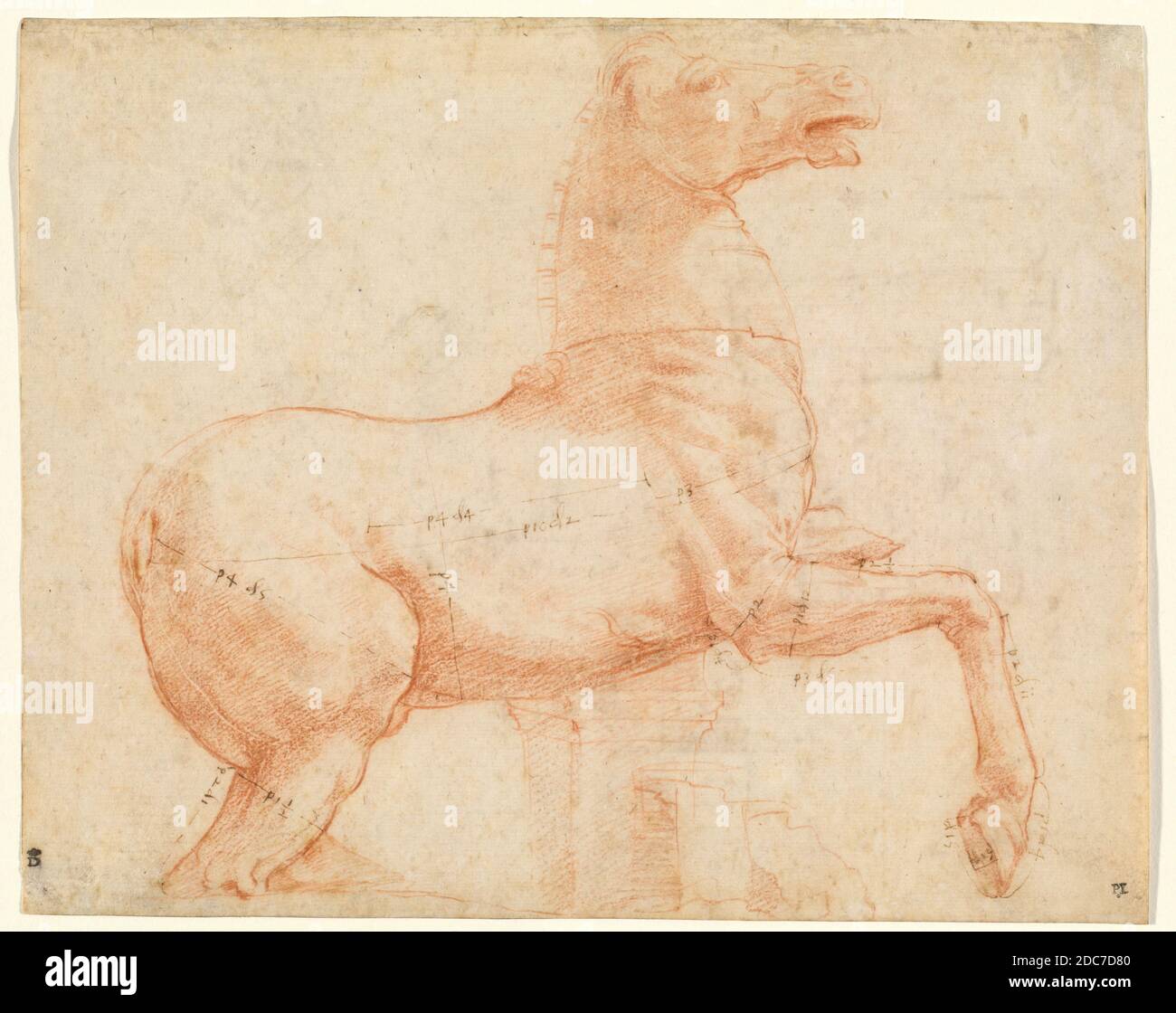 Raphael, (artista), Marchigiano, 1483 - 1520, un Cavallo di marmo sulla collina del Quirinale, c. 1513, gesso rosso e inchiostro a penna e marrone, con disegno a stilo e tracce di punta su carta defilata, totale: 21.9 x 27.4 cm (8 5/8 x 10 13/16 pollici Foto Stock