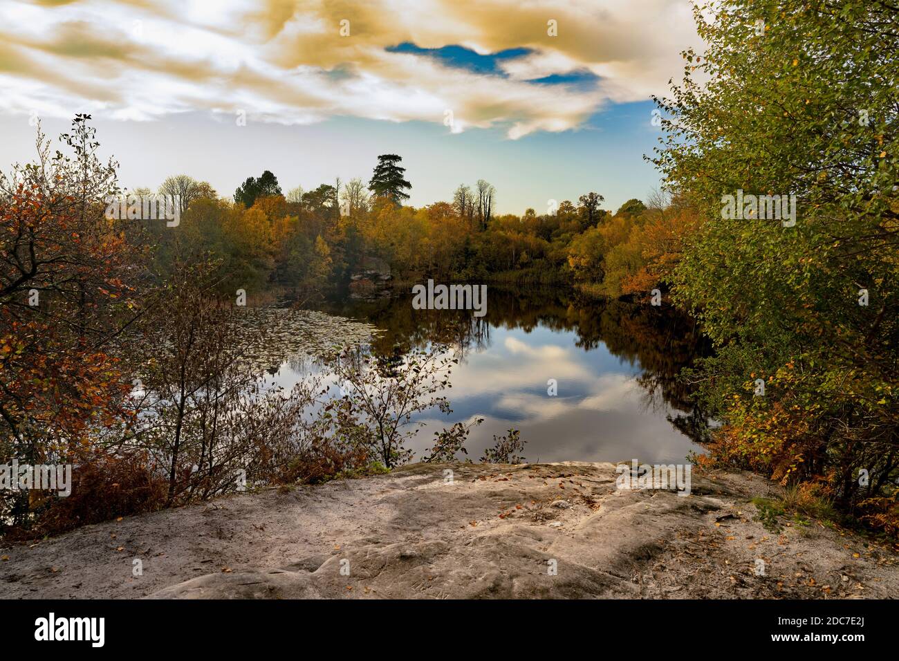 Autunno a Lake Wood, Uckfiled, East Sussex, Inghilterra, Regno Unito. Foto Stock