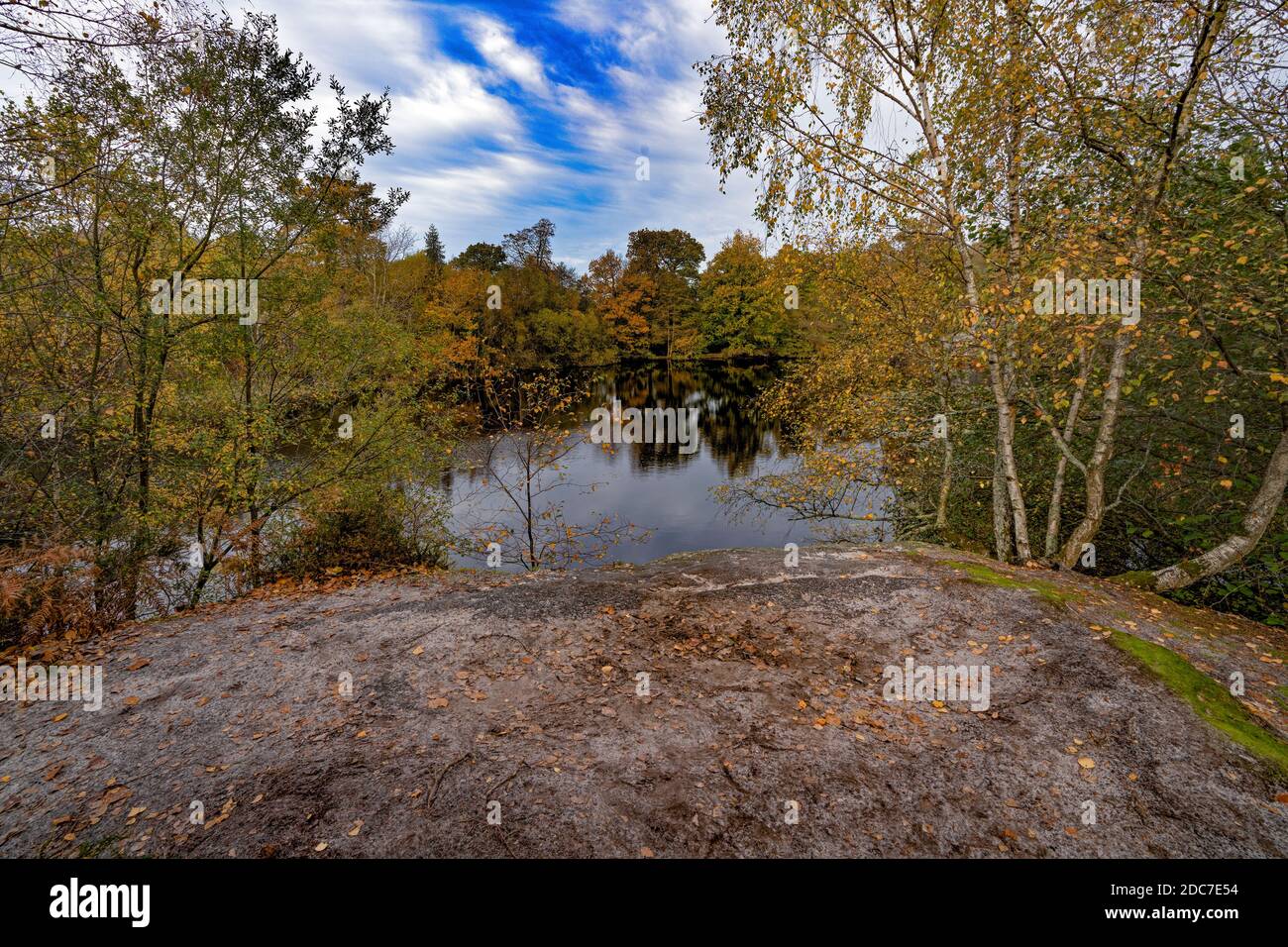 Autunno a Lake Wood, Uckfiled, East Sussex, Inghilterra, Regno Unito. Foto Stock