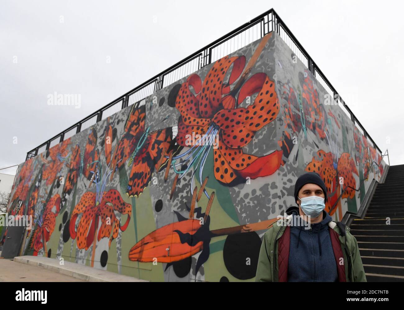 Praga, Repubblica Ceca. 19 Nov 2020. L'artista Ondrej Vyhnanek, indossando una maschera facciale, presenta la sua nuova opera di arte murale 'Flora e Fauna' decorando la ricostruita linea rossa della stazione della metropolitana Opatov uscita di emergenza a Praga, Repubblica Ceca, giovedì 19 novembre 2020. Credit: Michal Krumphanzl/CTK Photo/Alamy Live News Foto Stock