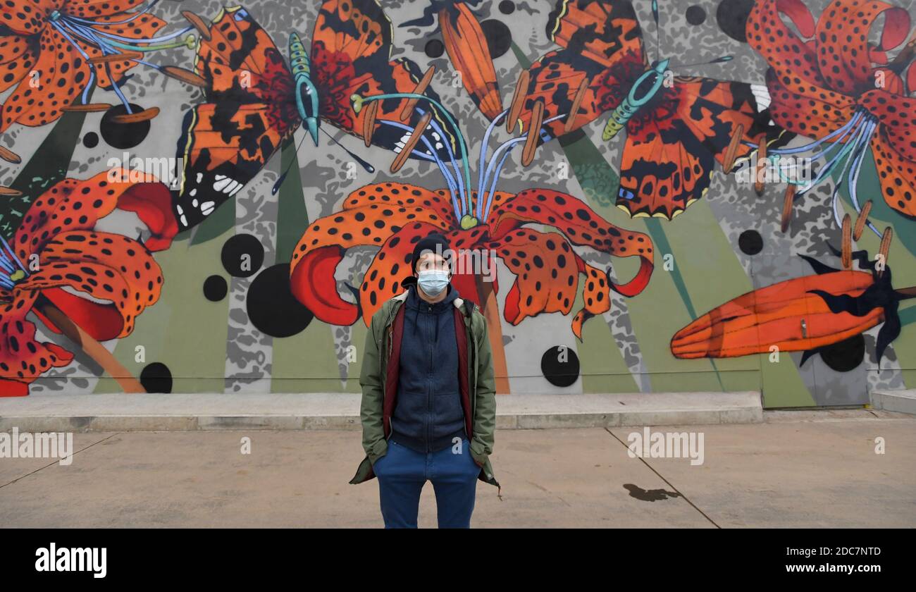 Praga, Repubblica Ceca. 19 Nov 2020. L'artista Ondrej Vyhnanek, indossando una maschera facciale, presenta la sua nuova opera di arte murale 'Flora e Fauna' decorando la ricostruita linea rossa della stazione della metropolitana Opatov uscita di emergenza a Praga, Repubblica Ceca, giovedì 19 novembre 2020. Credit: Michal Krumphanzl/CTK Photo/Alamy Live News Foto Stock