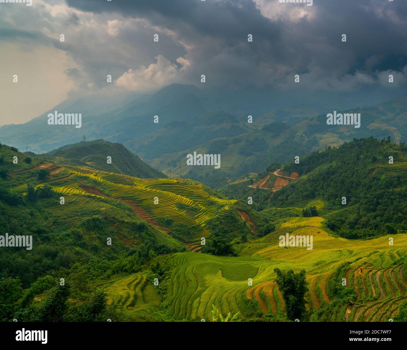 Paesaggio di risaie terrazzate in Sapa, Vietnam. Foto Stock