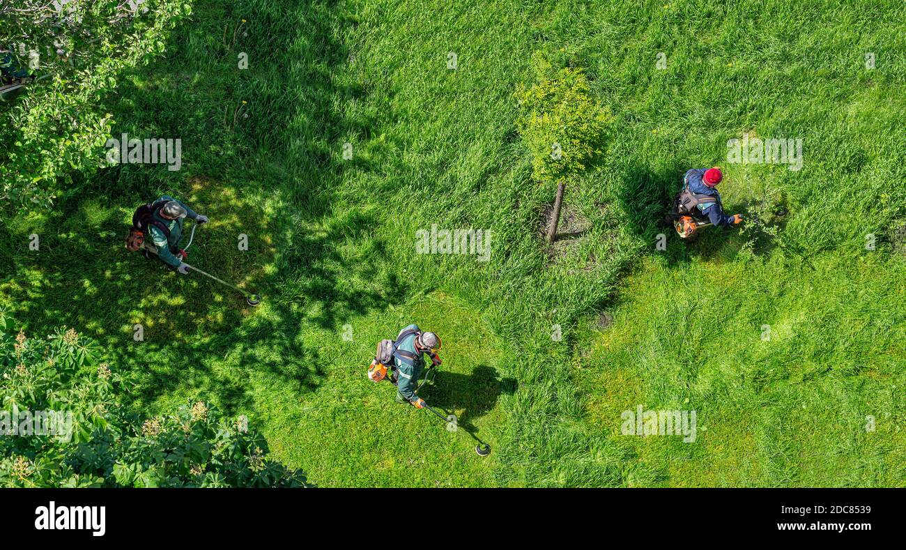 un team di lavoratori taglia l'erba con un decespugliatore a benzina in città, vista dall'alto Foto Stock