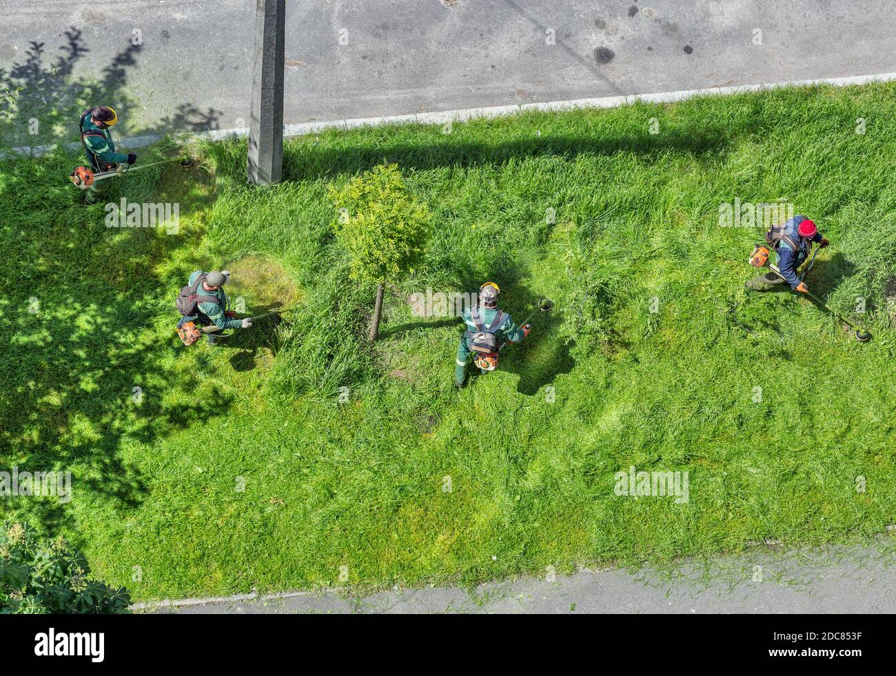 un team di lavoratori taglia l'erba con un decespugliatore a benzina in città, vista dall'alto Foto Stock